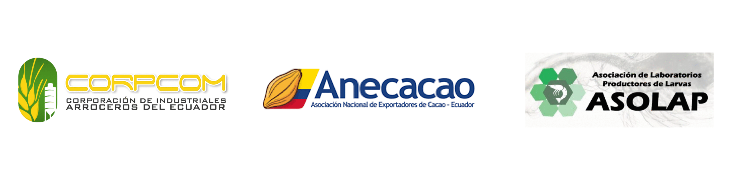 NUEVA PLANTILLA LOGOS WEBweqws_Mesa de trabajo 1